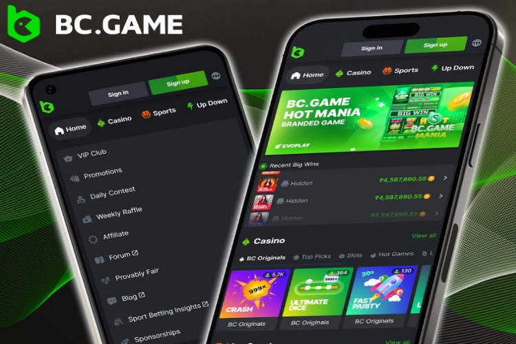 All You Need to Know About Bc Game Crash